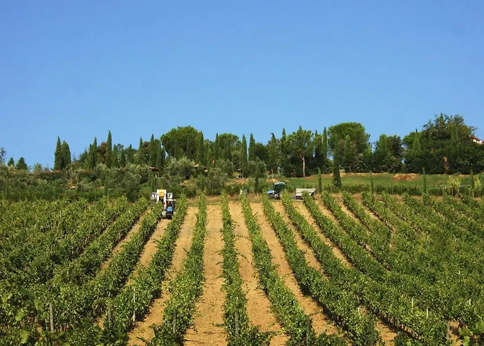 Agriturismo Isola Verde Cerreto Guidi